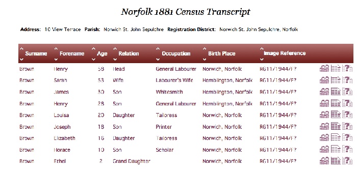 Elizabeth/Louisa Brown census 1881
